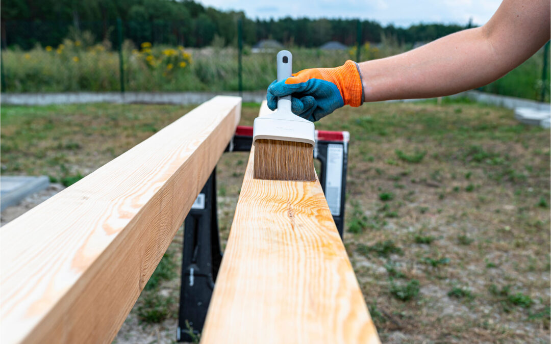 Szkodniki drewna – jak zabezpieczyć przed nimi drewno?